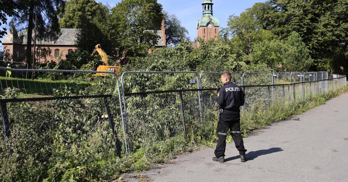 Meddommere frifant 83-åring etter trefelling-demo ved Rikshospitalet