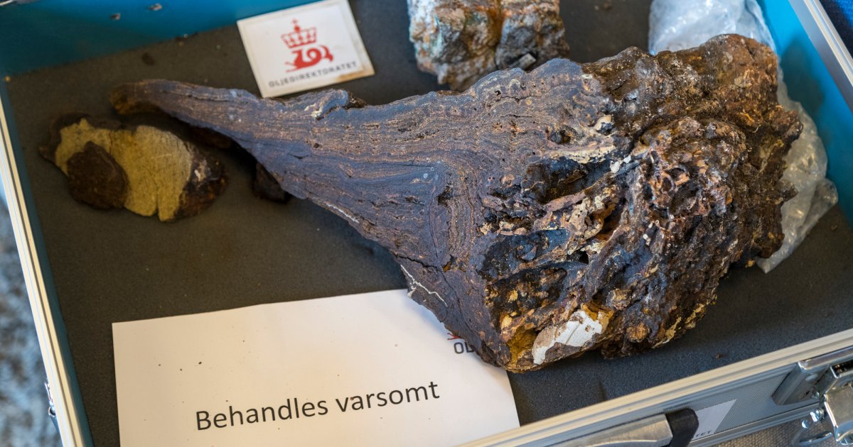 WWF anker havbunnederlaget – slik begrunnet tingretten dommen