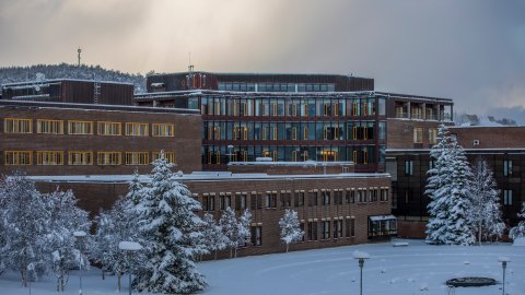 Høyesterett opphever erstatningsdom mot Universitetet i Tromsø
